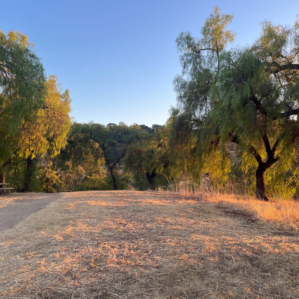 Foothill Park 1
