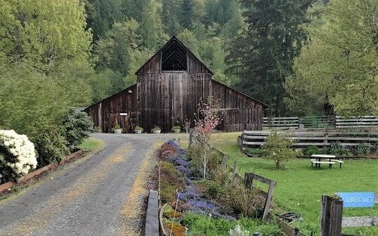 Canter-Berry Farms 3