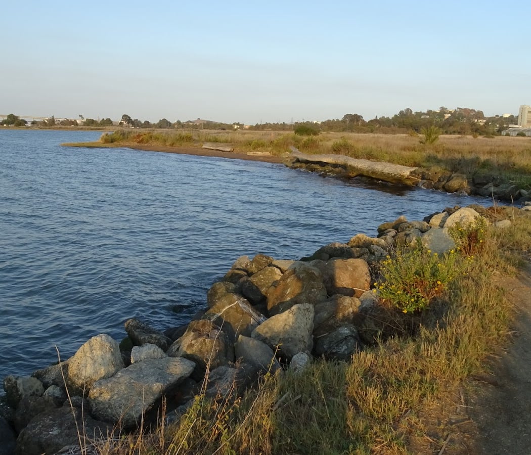 Waterfront Park 1
