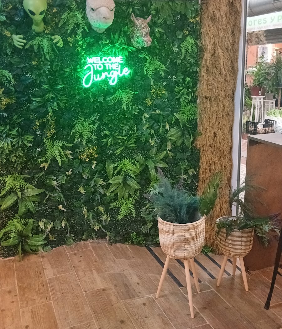 La bocateria del gorra 3