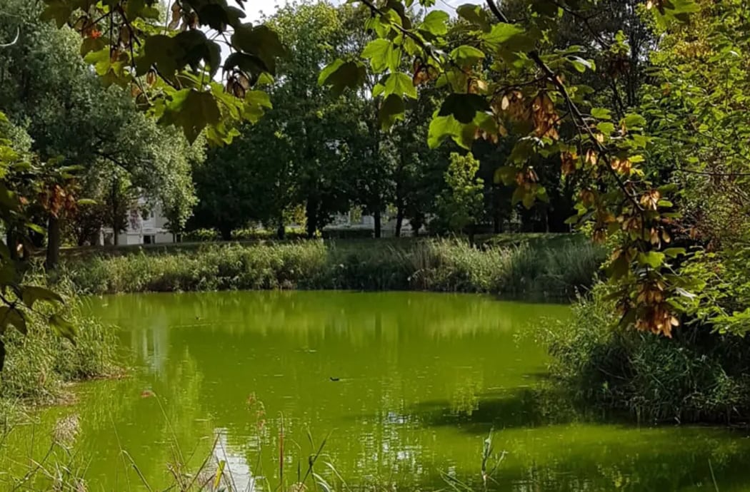 Atlas de la Biodiversité Communale : réunion publique 2