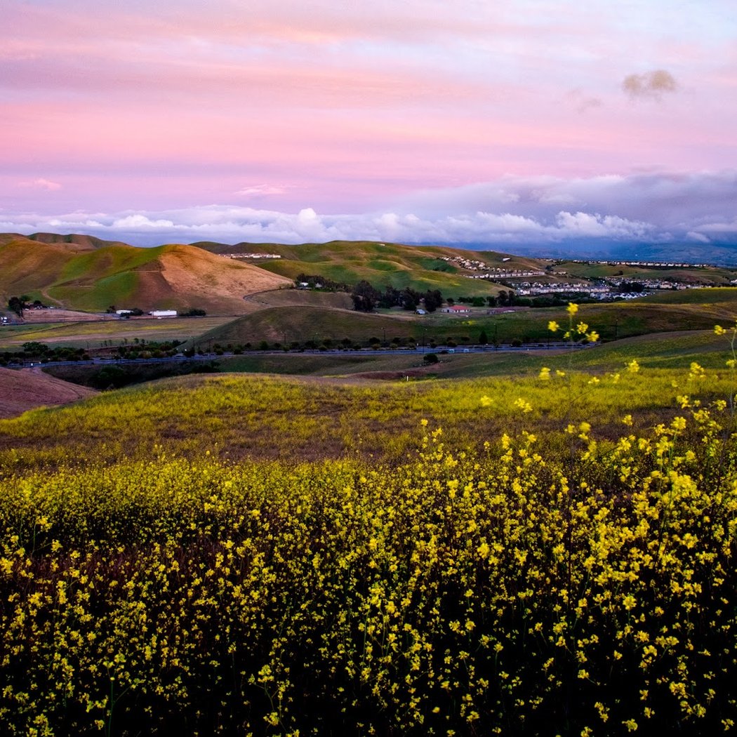 Tassajara Ridge Staging Area 1