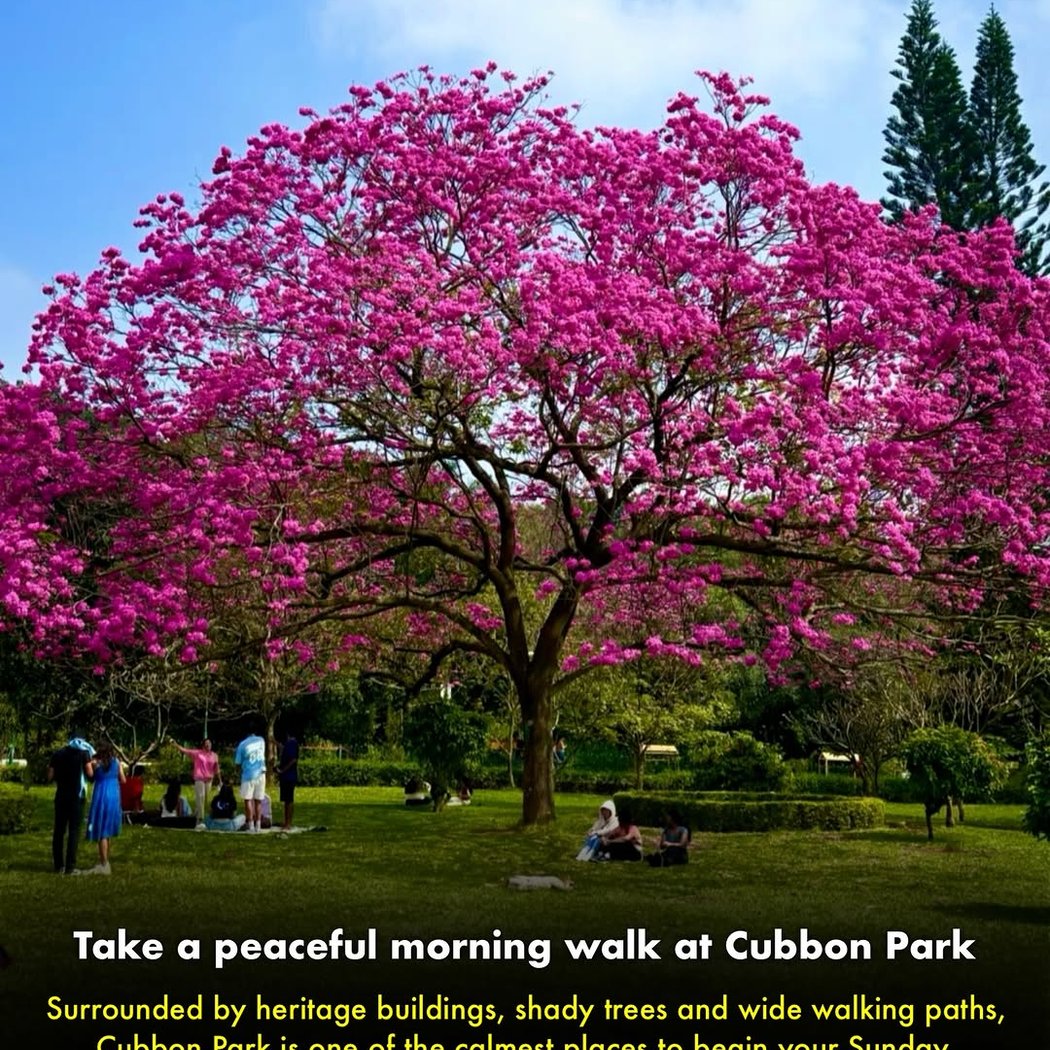 Cubbon Park 1