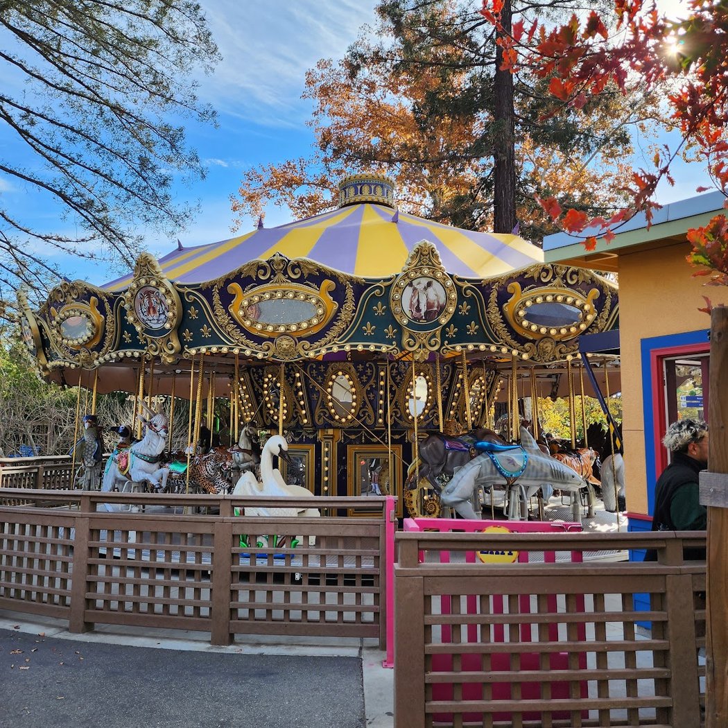 Keep-Around Carousel 2