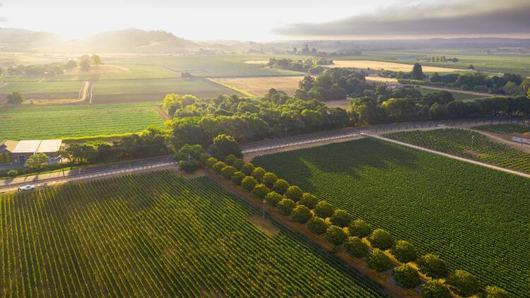Suisun Valley 1