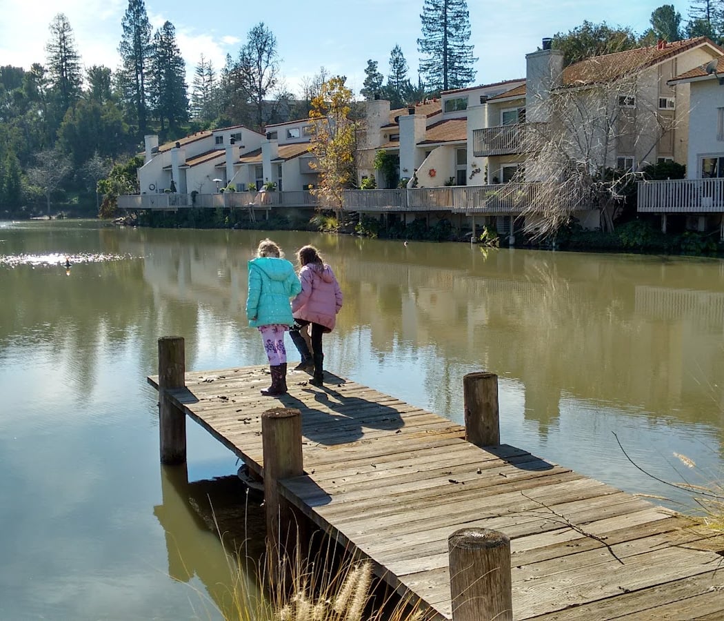 Rinconada Hills 2