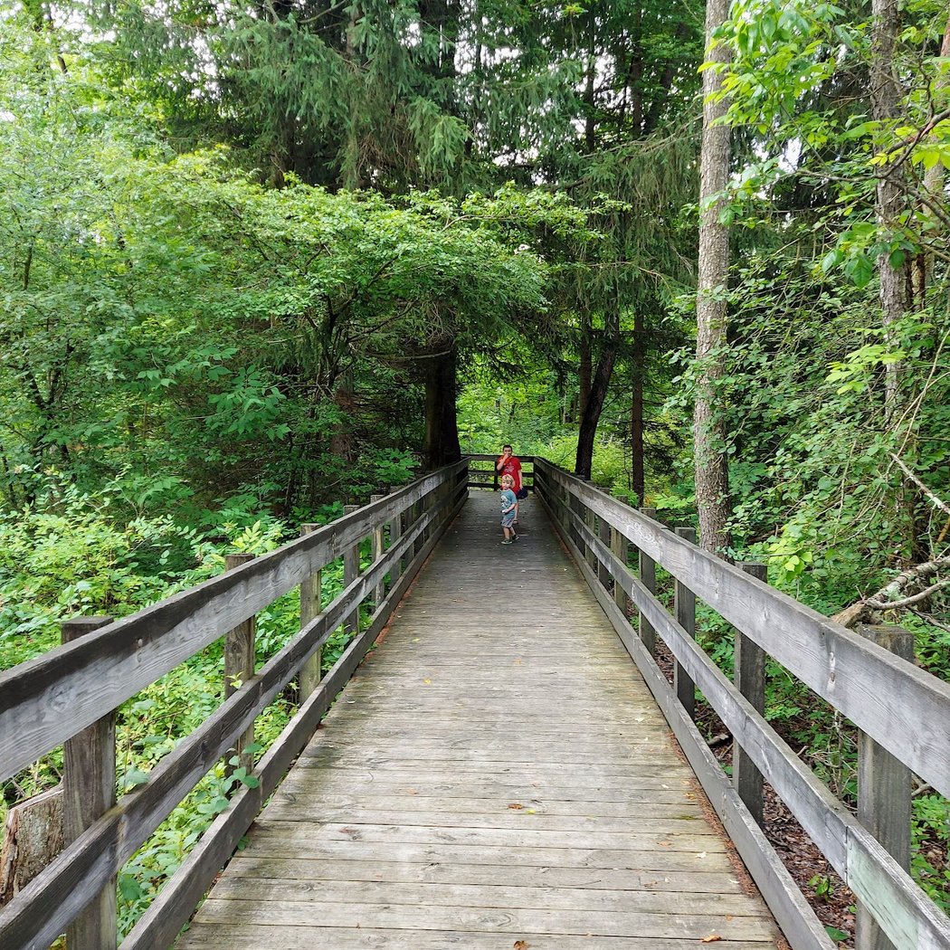 Bessie Benner Metzenbaum Park 1