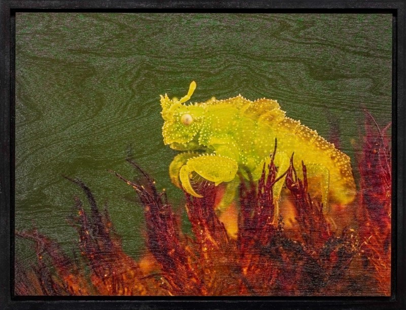 Exhibit Reception for "Closer: A look at the tiny world around us" 2