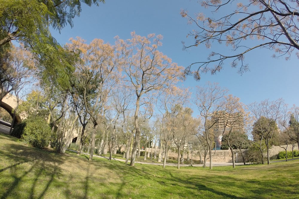 Jardín del Turia 3