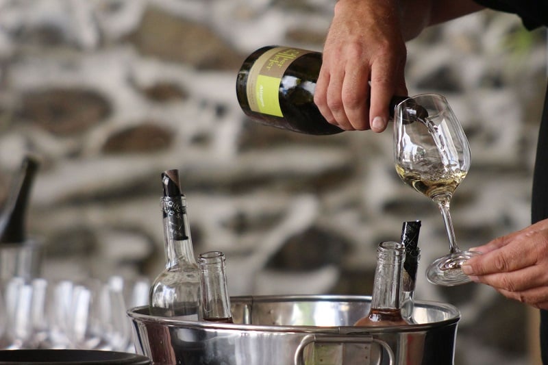 Tasting and Sale of Domaine Ollier-Taillefer Wines 1