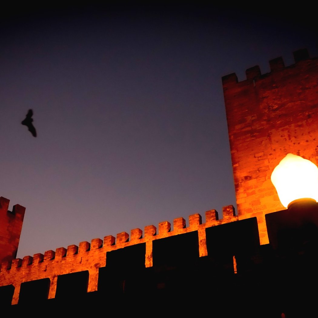 Morcegos no Castelo