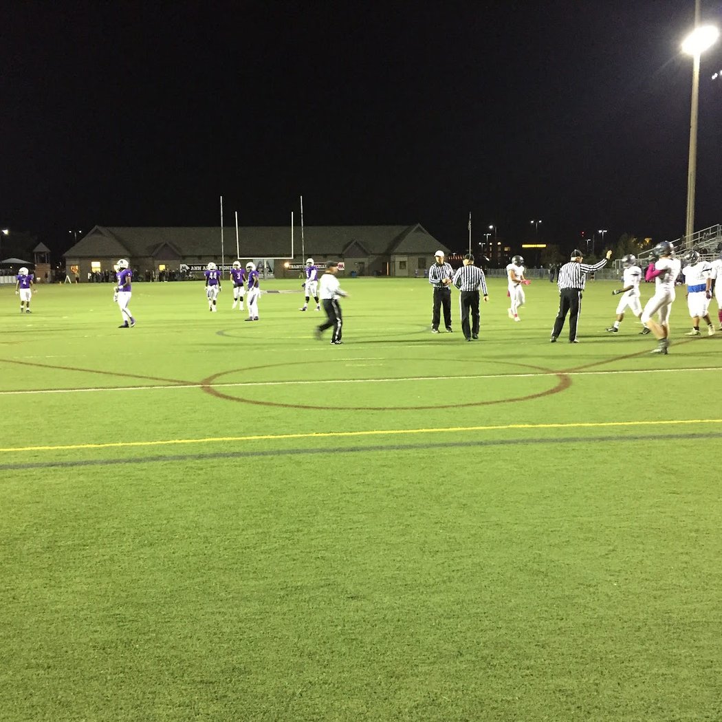 Hollway Field 1