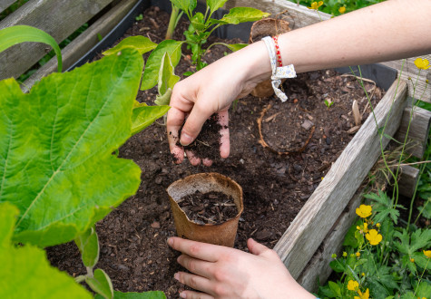 Atelier jardinage pour adultes 1
