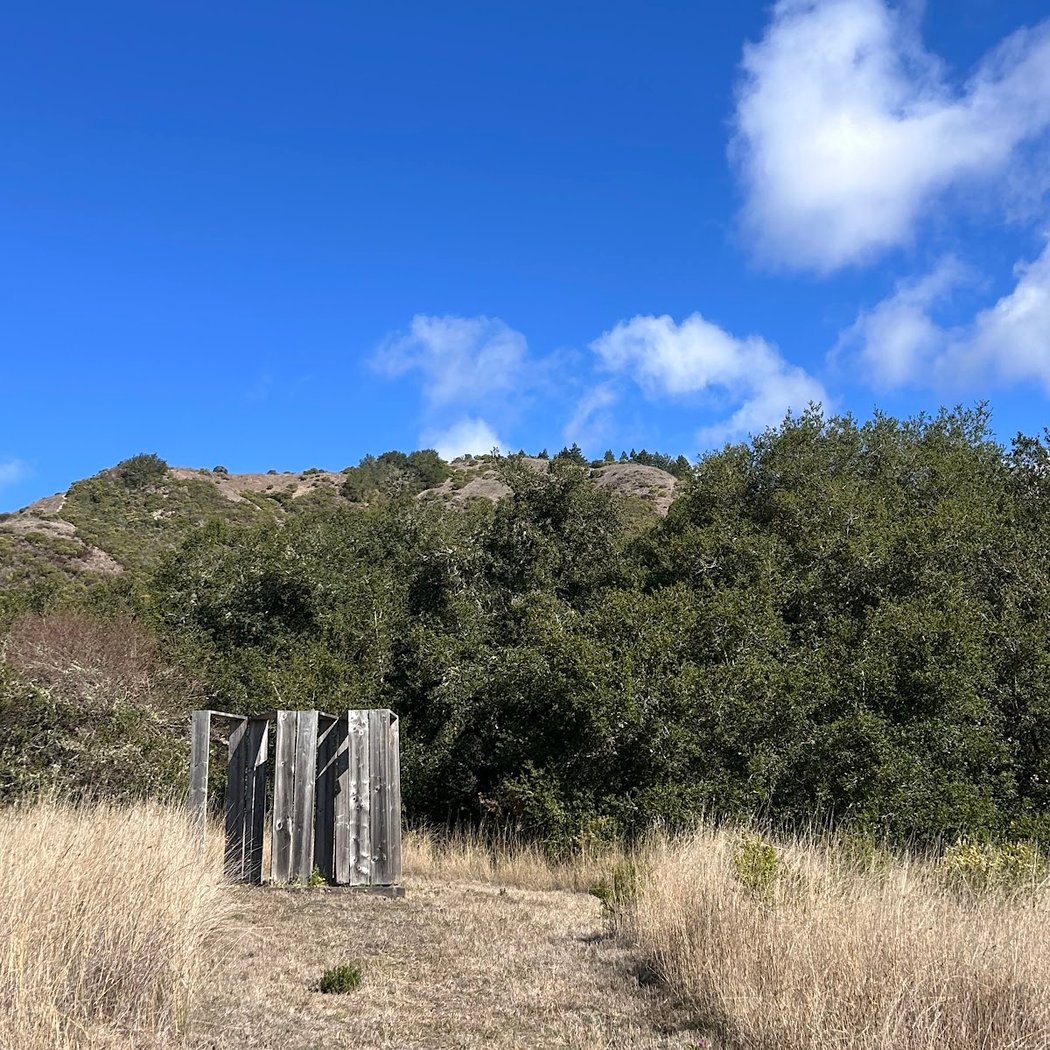 Djerassi Resident Artists Program 2