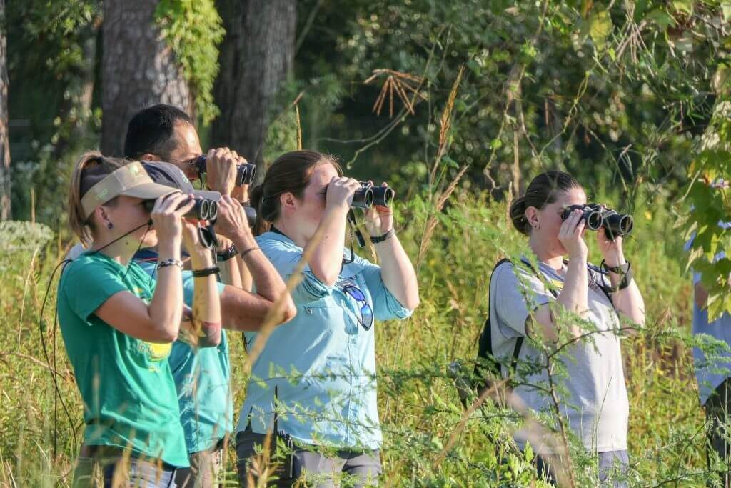 Second Saturday Bird Survey