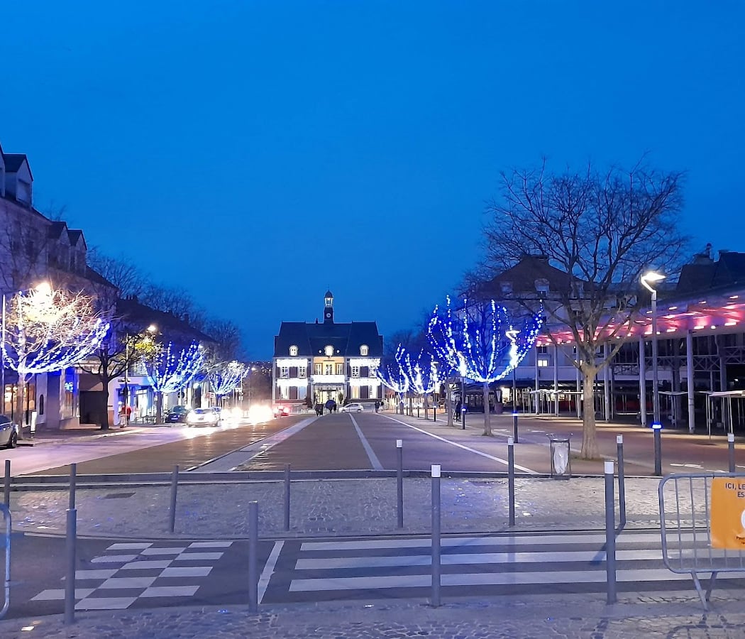 Conseil municipal 4