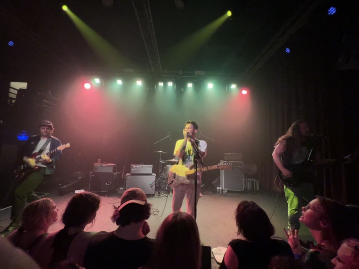 Wavves 3