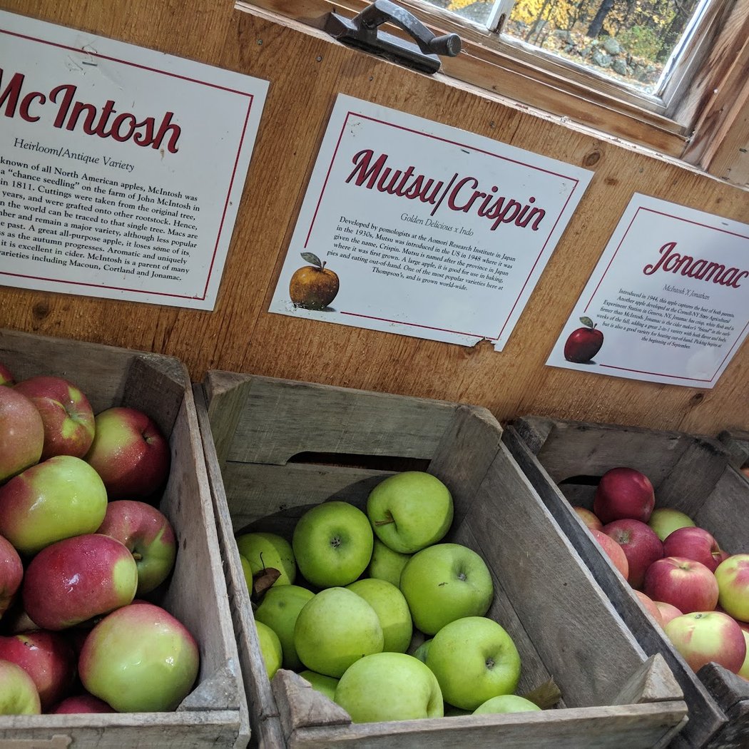 Thompson's Cider Mill and Orchard 1