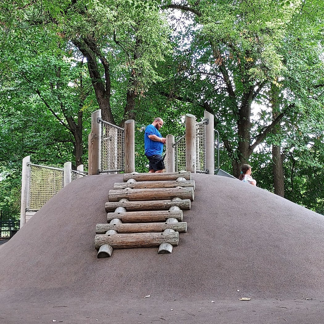 Safari Playground 5