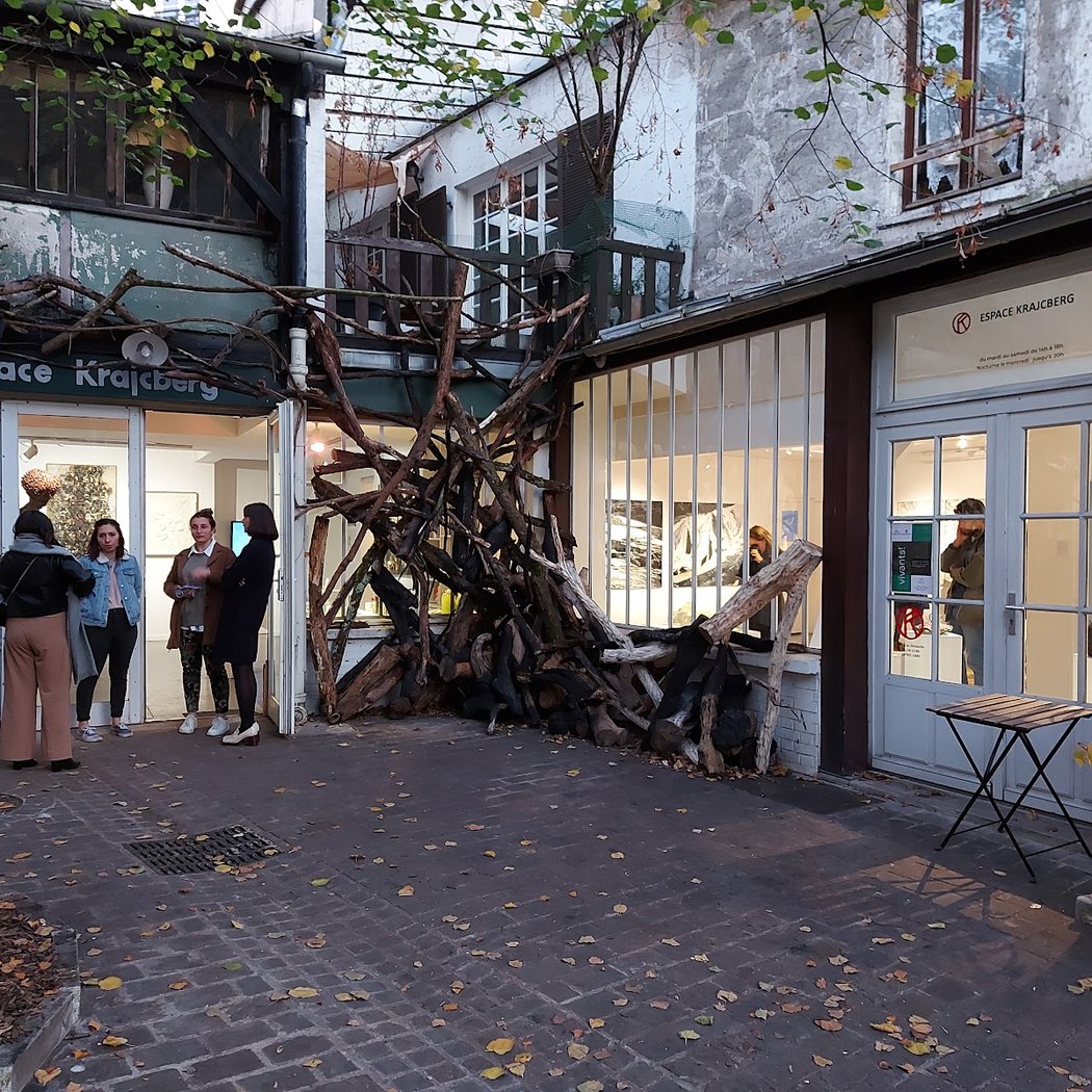 Hors-sol : Frans Krajcberg vu par Janice Melhem Santos 3