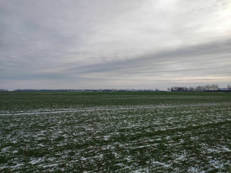 La Forêt d'Ivry 3