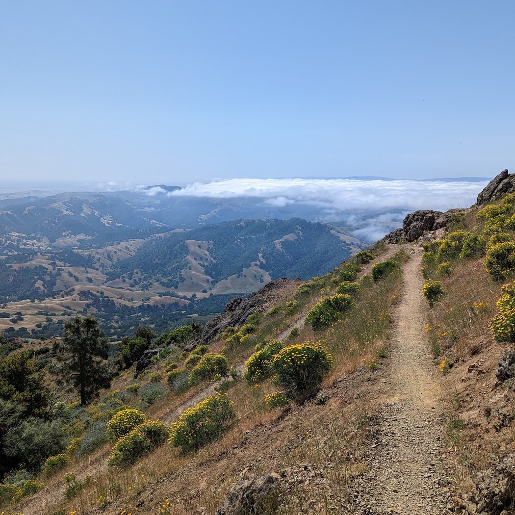 Wildfire Mitigation Efforts 2