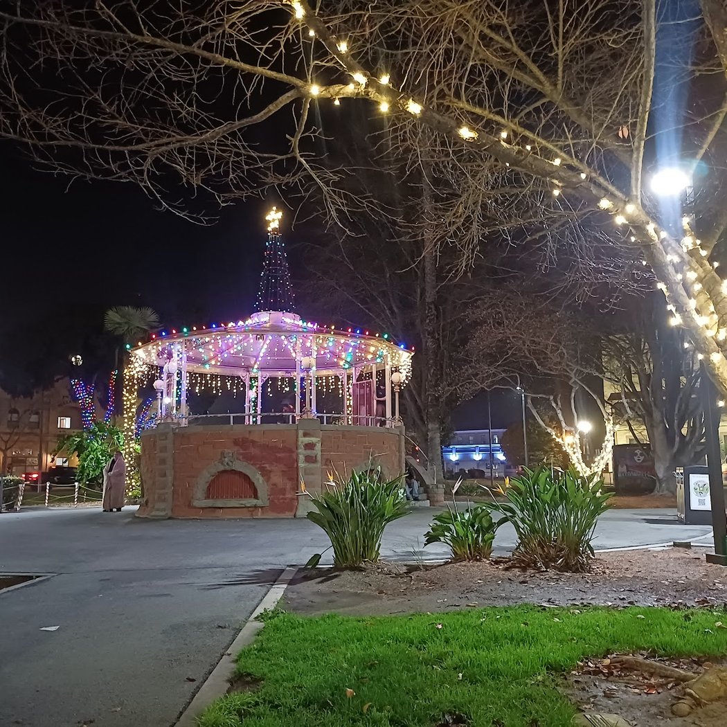 Tree Lighting 4