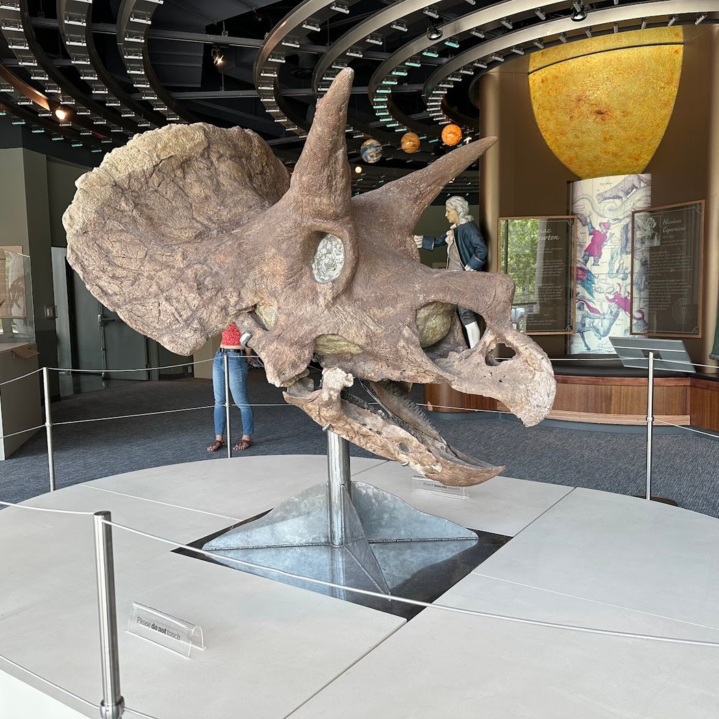 Louisiana Art & Science Museum 3