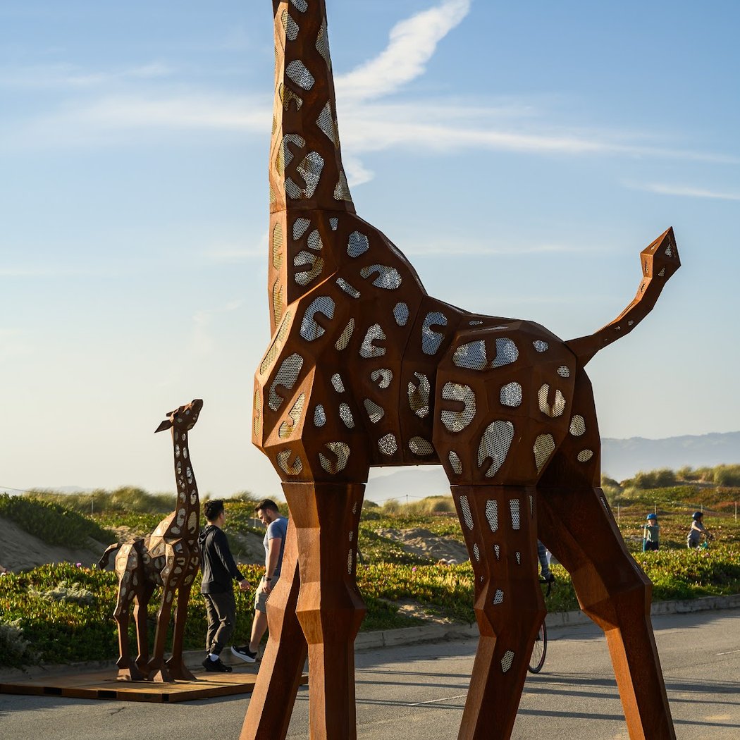 Giraffes 1