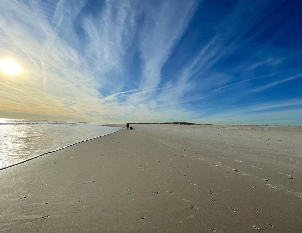 Fire Island 5