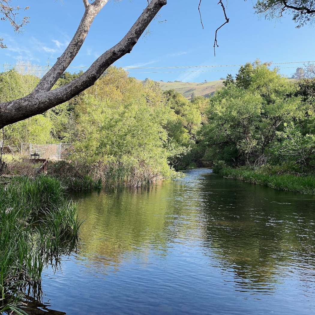 Coyote Creek Trail 1