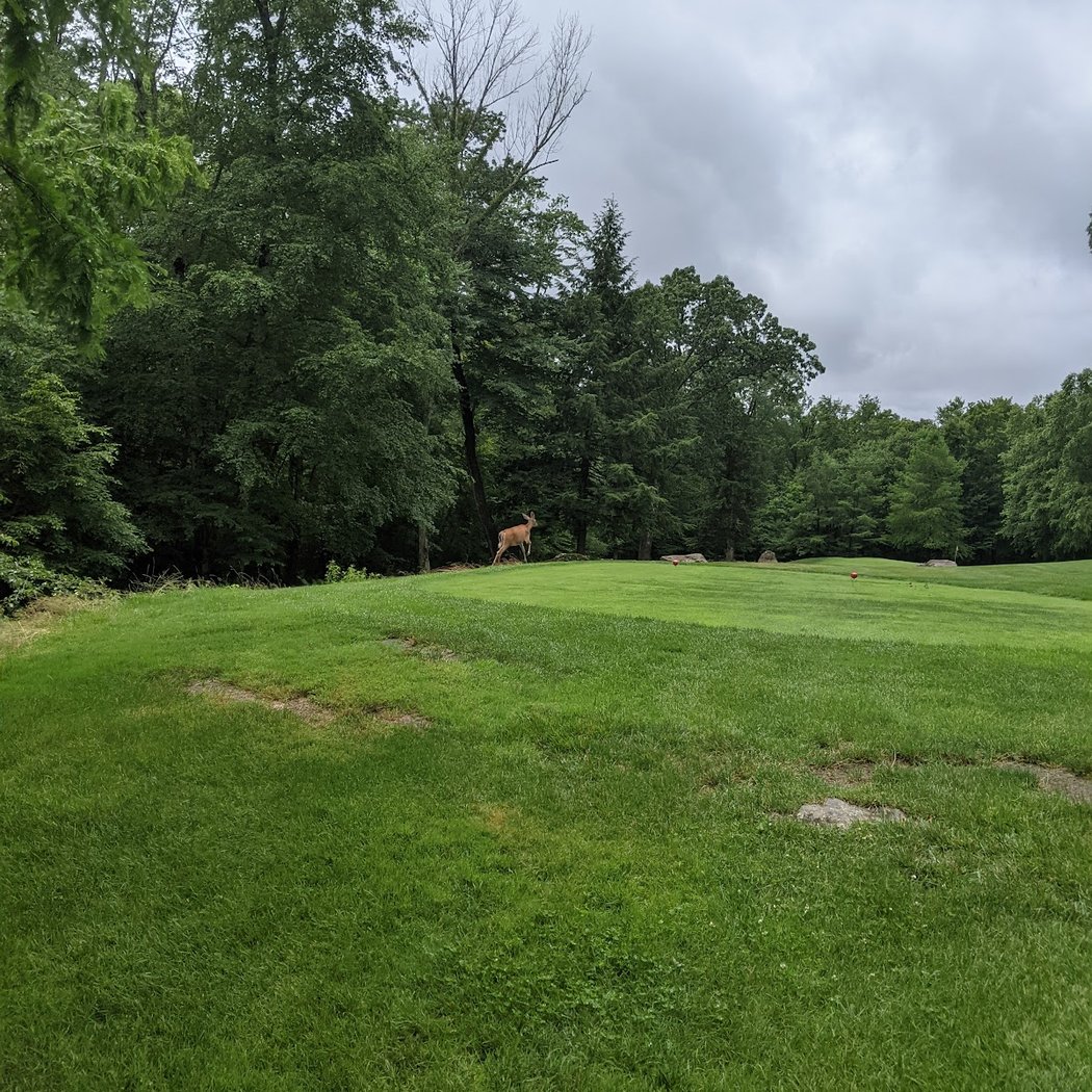 Winding Hills Golf Club 3