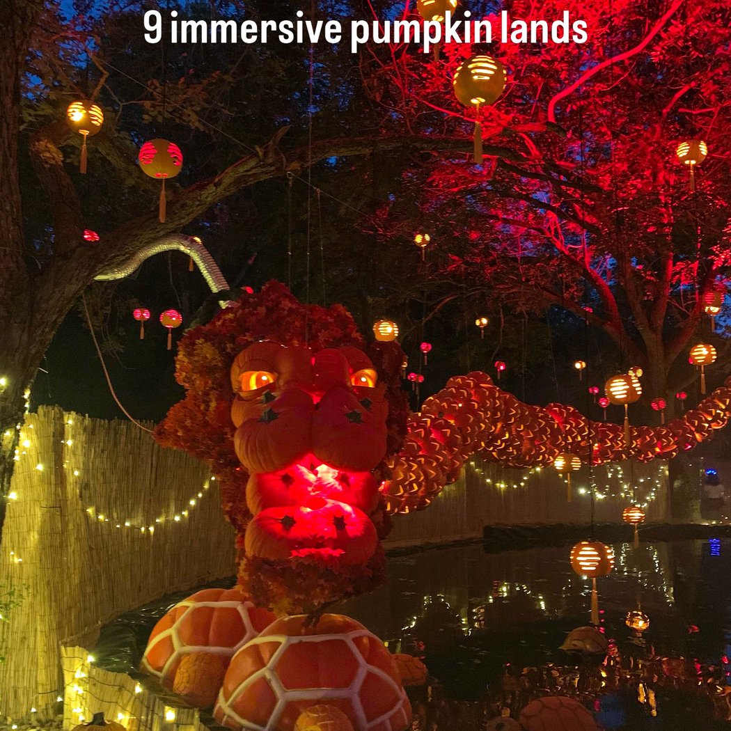 Pumpkin Nights 3