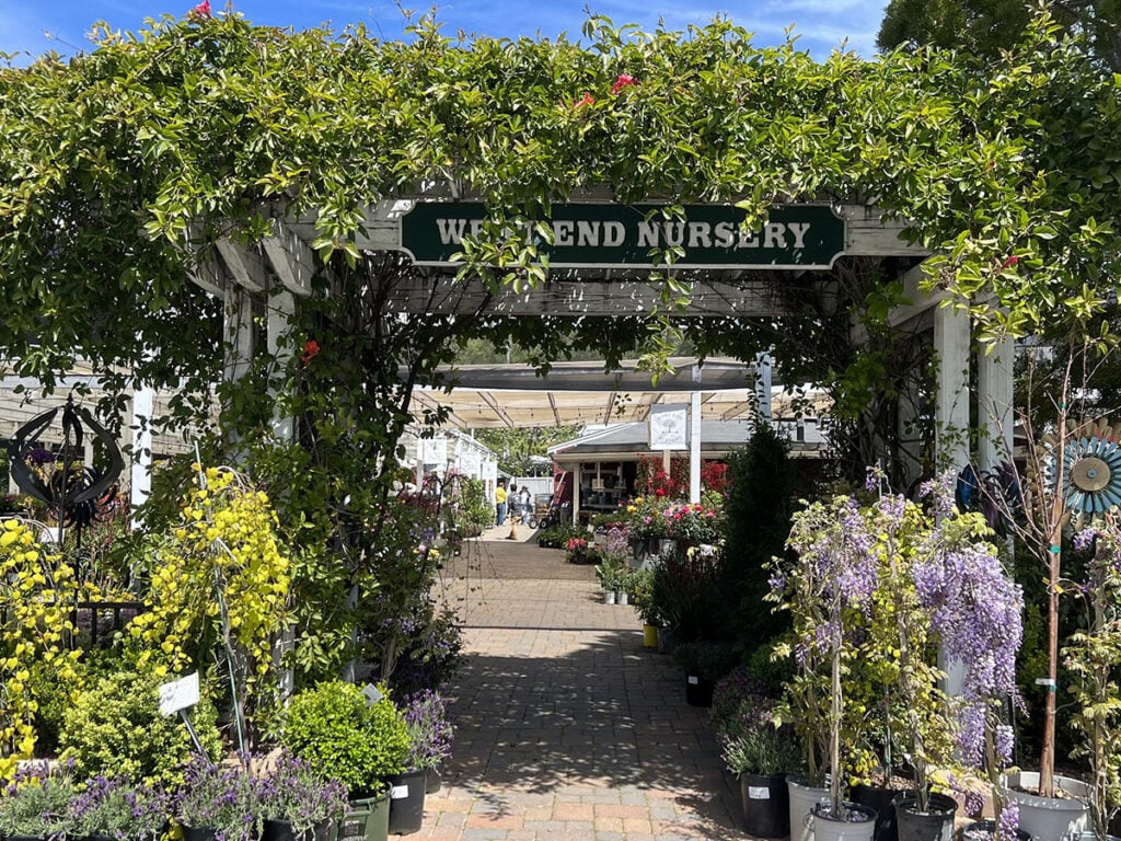 West End Nursery 2