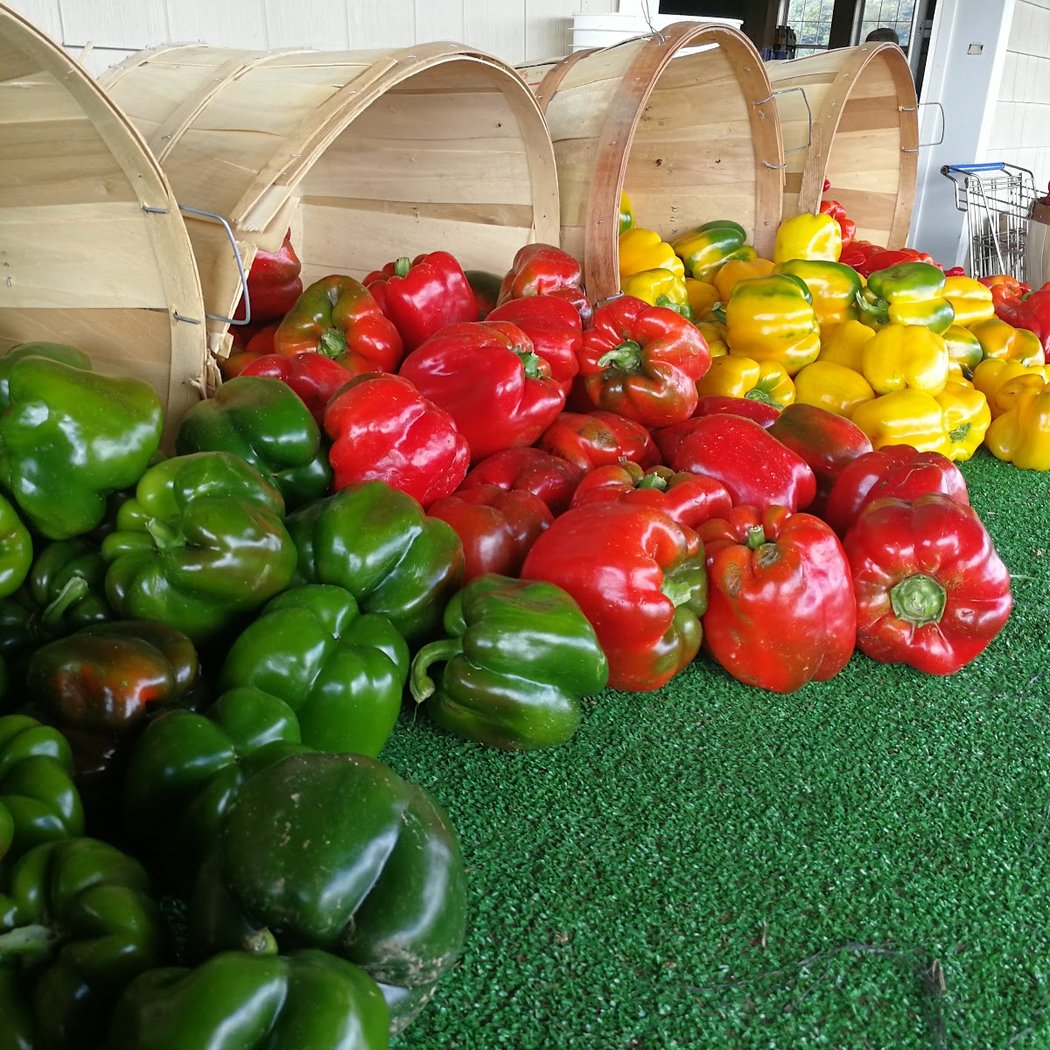Lenny Bruno Farms 1