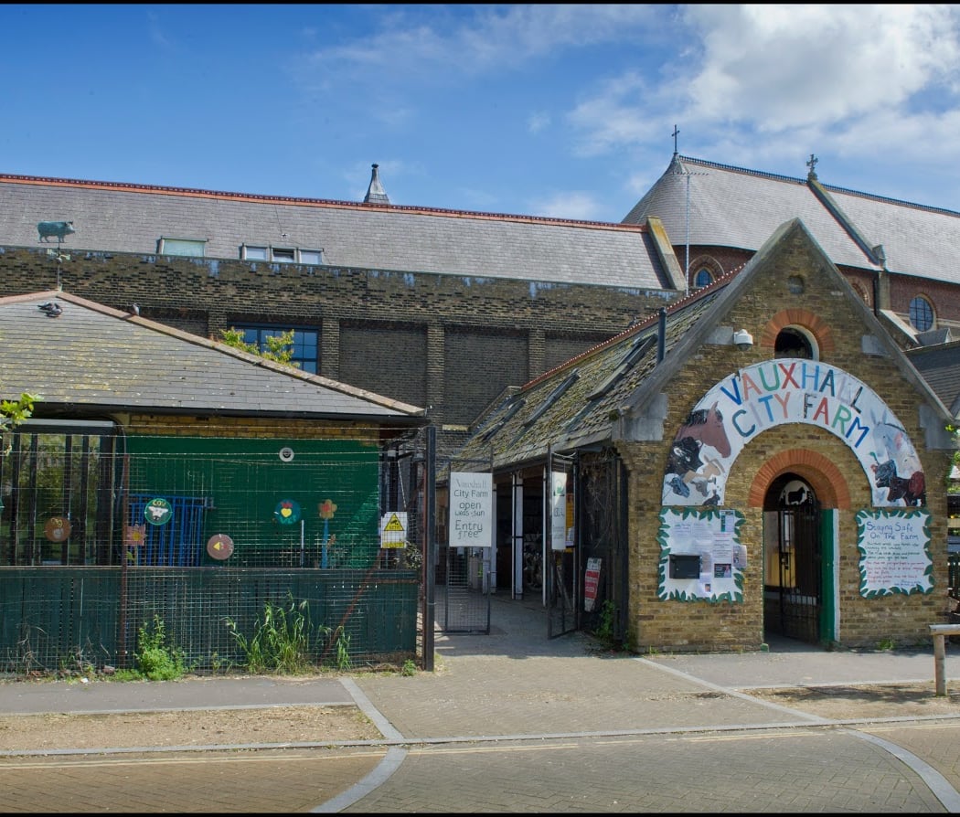 Vauxhall City Farm 2
