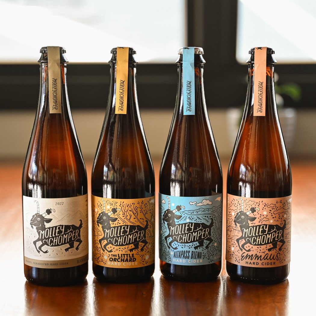 Molley Chomper Hard Cider 1