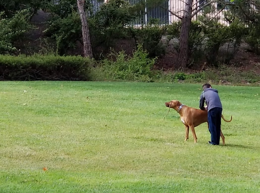 Dunhill Court Park 1