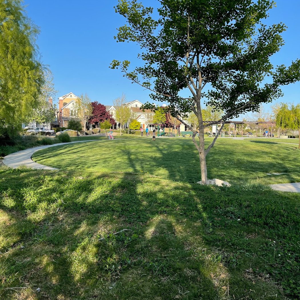 Frog Pad Park 3