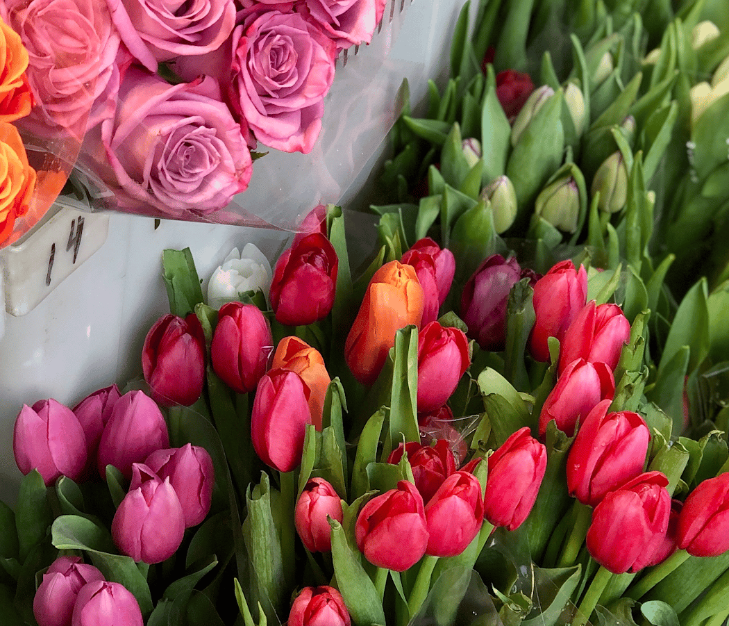 Carroll Garden flower shop 2
