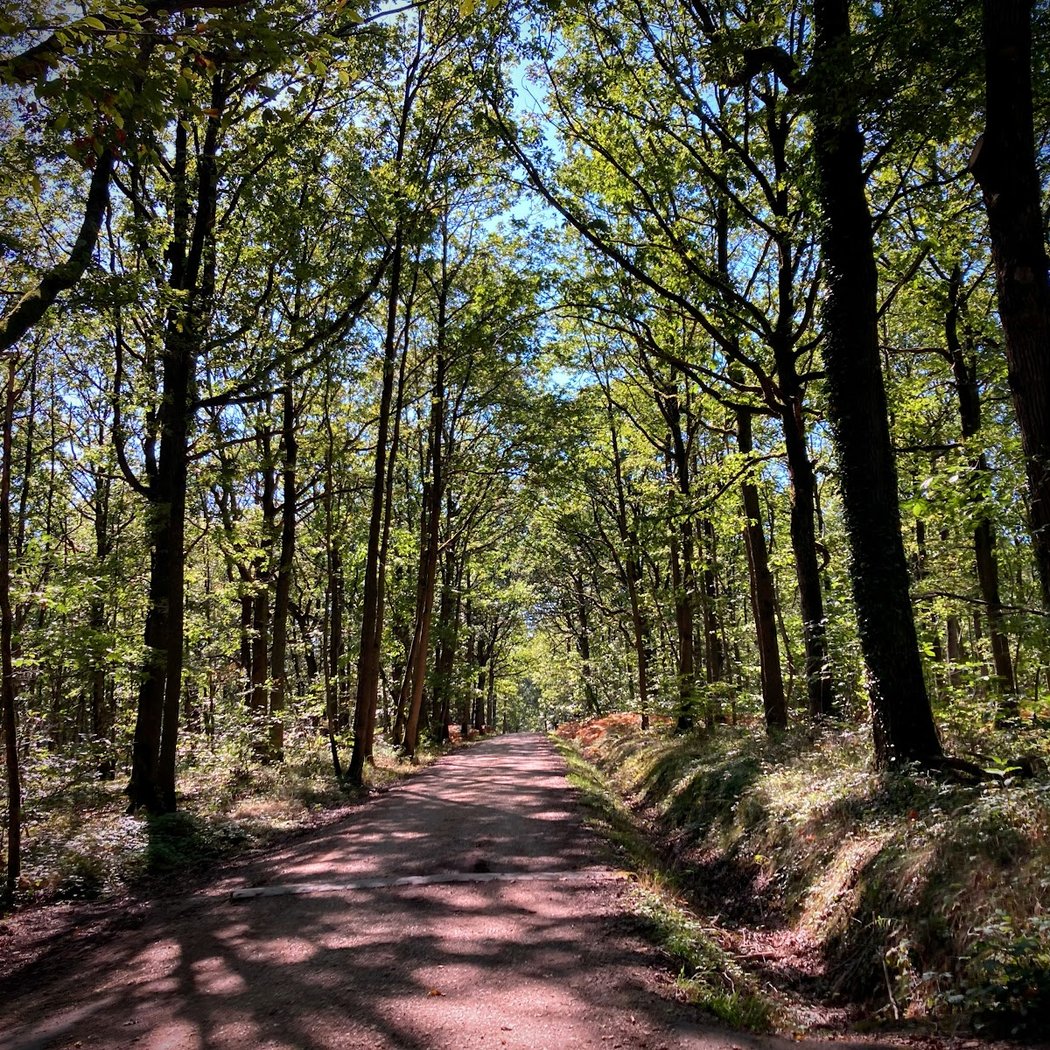 Le Sentier des Maréchaux 3