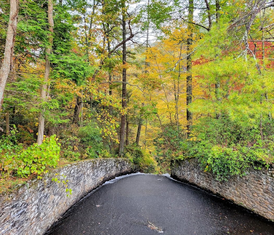 Vogel State Park 3