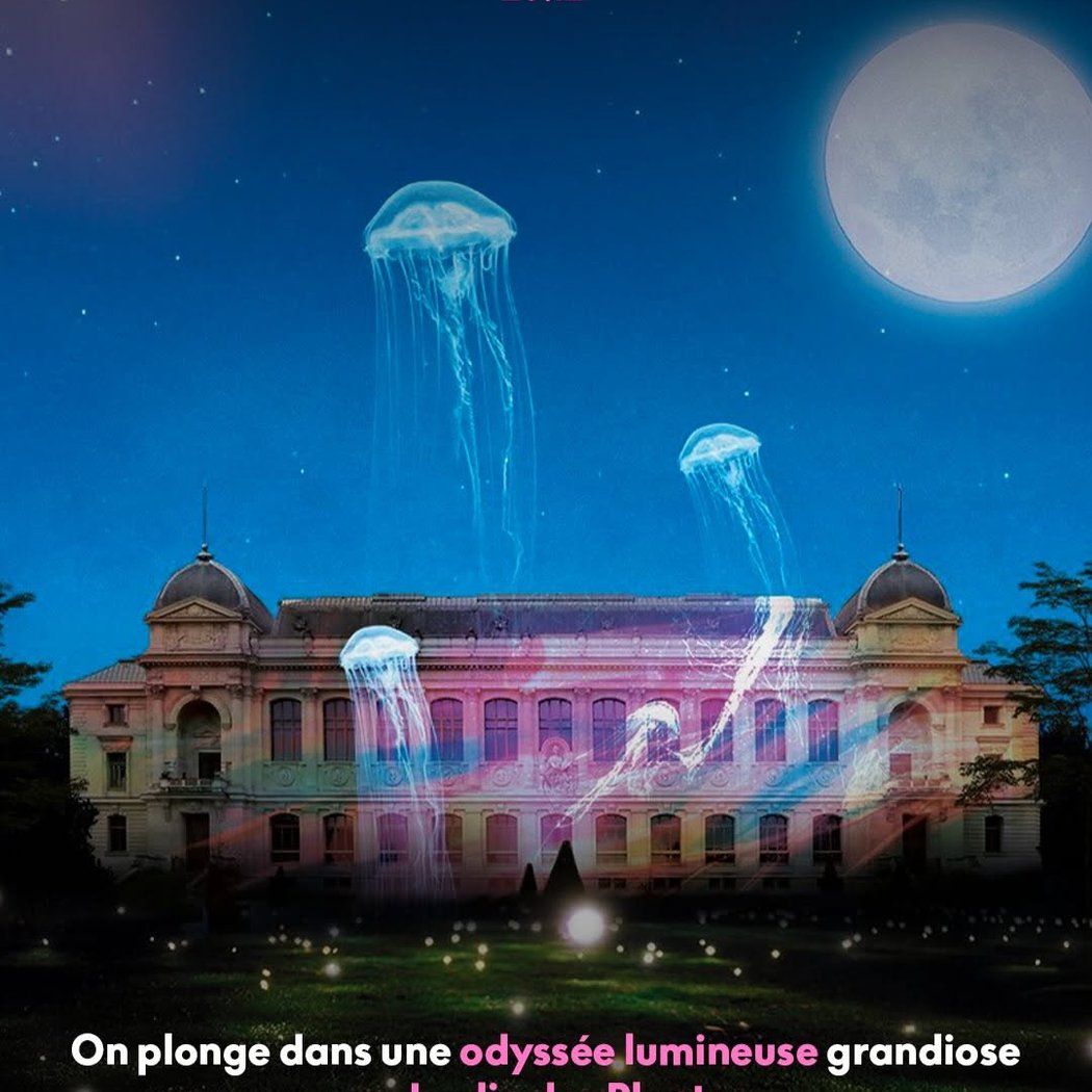 Lumières de la Nature 1