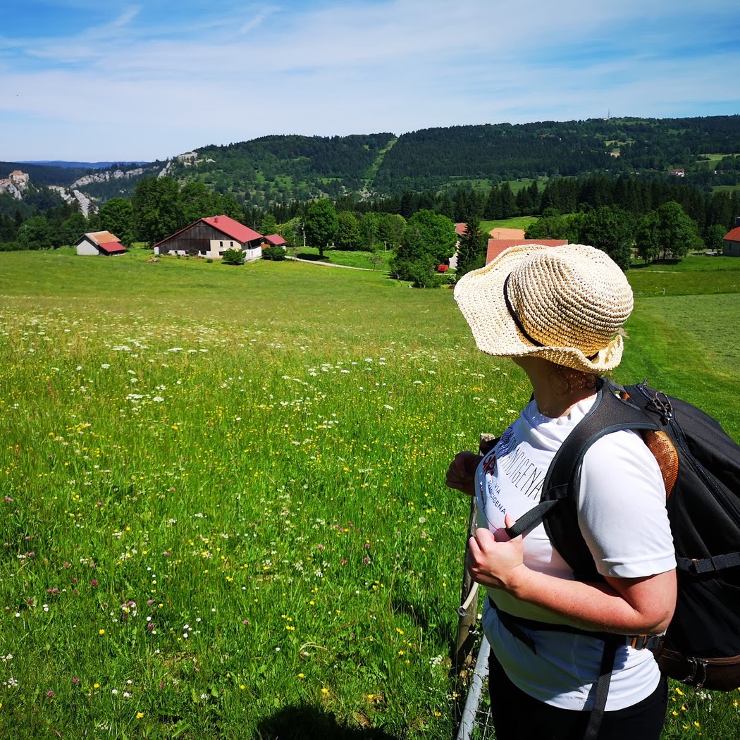 Association Européenne des chemins de la Via Francigena - bureau France 2