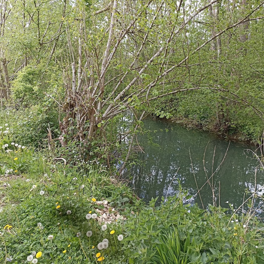 Le Moulin de Brise 2