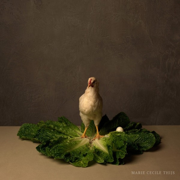 Food and other portraits : Marie Cecile Thijs 2