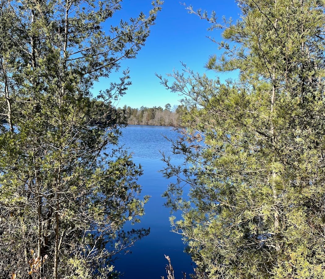 Atsion Recreation Area 3