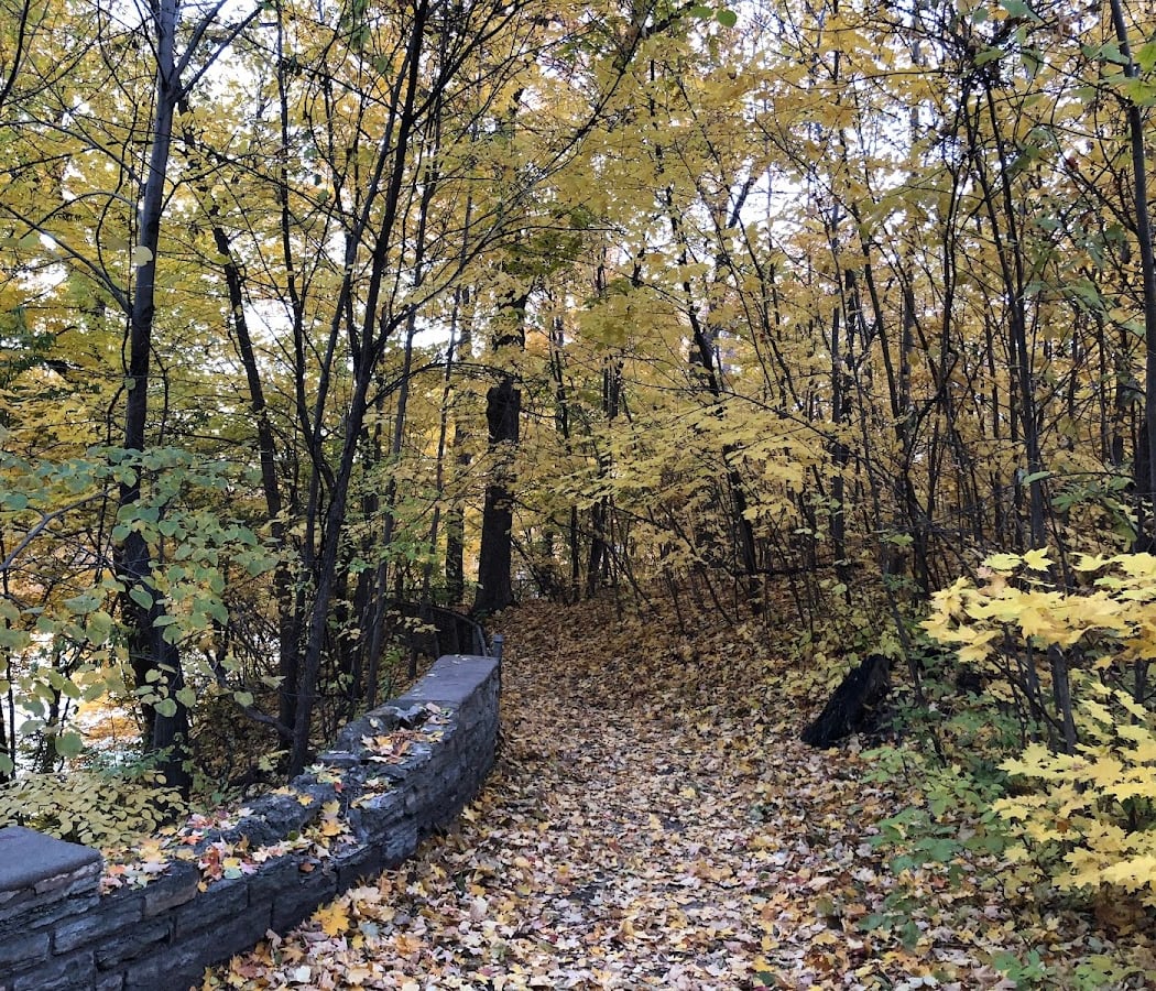 Winchell Trail 2