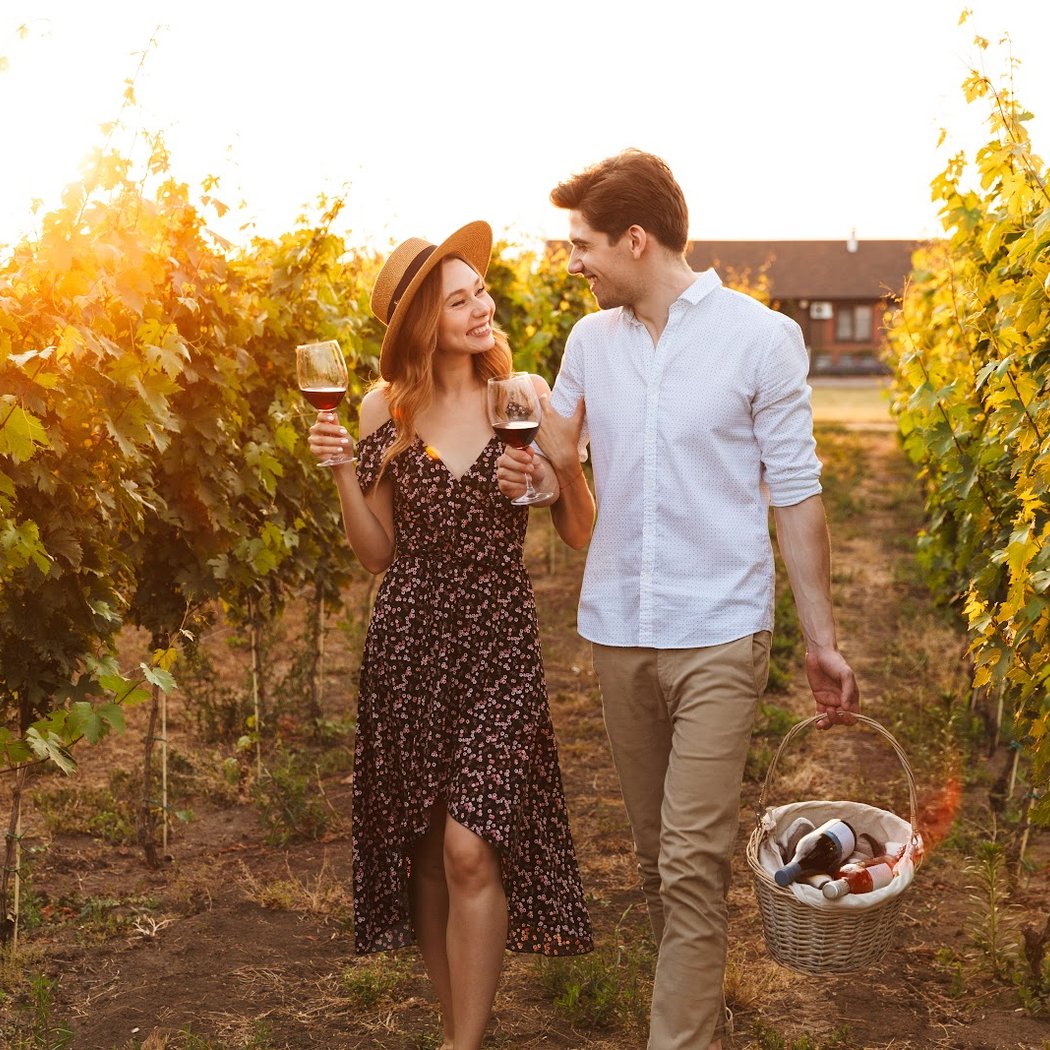 Wine Paths 1