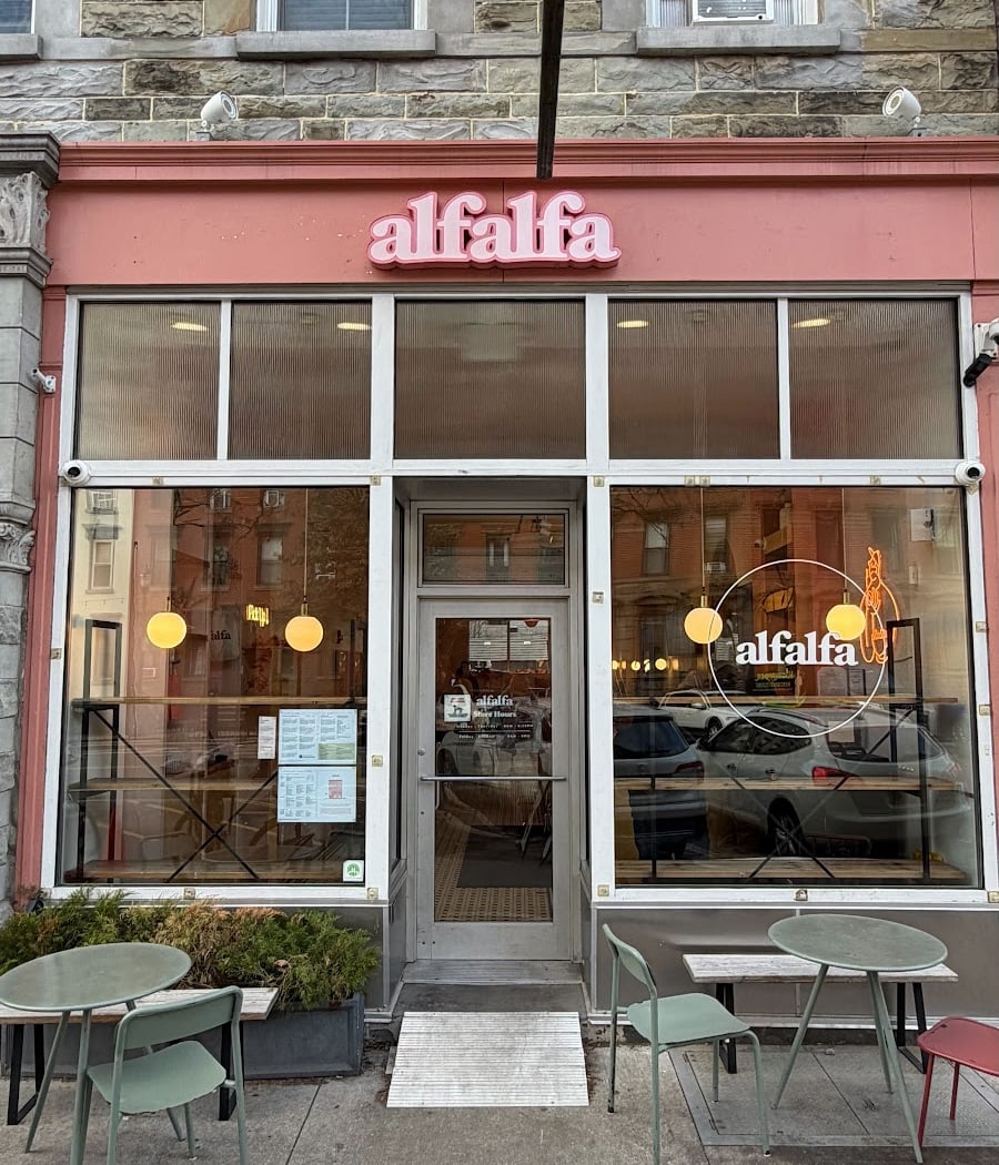 Alfalfa 3